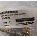 F-P 530029 Gas Valve Std Sabaf 4